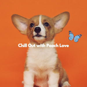 Chill Out with Pooch Love