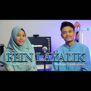 Listen to Fein Layalik song with lyrics from SHOLAWAT MUSIC PRO