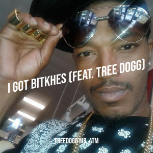 Album I Got Bitkhes (Explicit) from Treedogg Mr. ATM
