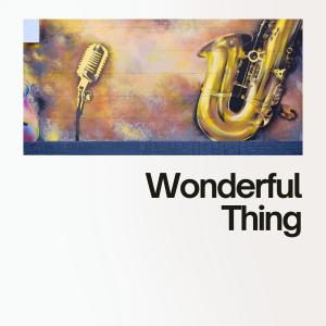 Count Basie and His Orchestra的專輯Wonderful Thing