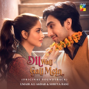 Album Dil Wali Gali Mein (Original Soundtrack) from Umair Ali Akbar