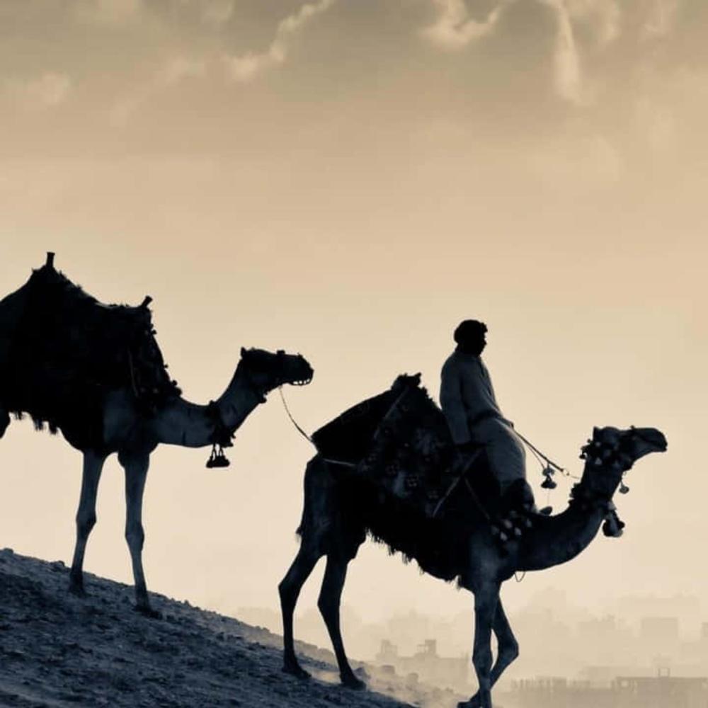 الصحراء (لحن راب)