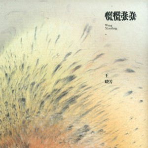 收聽王曉芳的慌慌張張歌詞歌曲