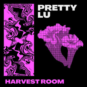 收听Pretty Lu的Harvest Room (Explicit)歌词歌曲