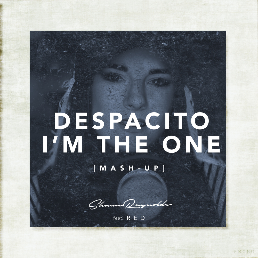 Despacito / I'm the One (Mash-Up)