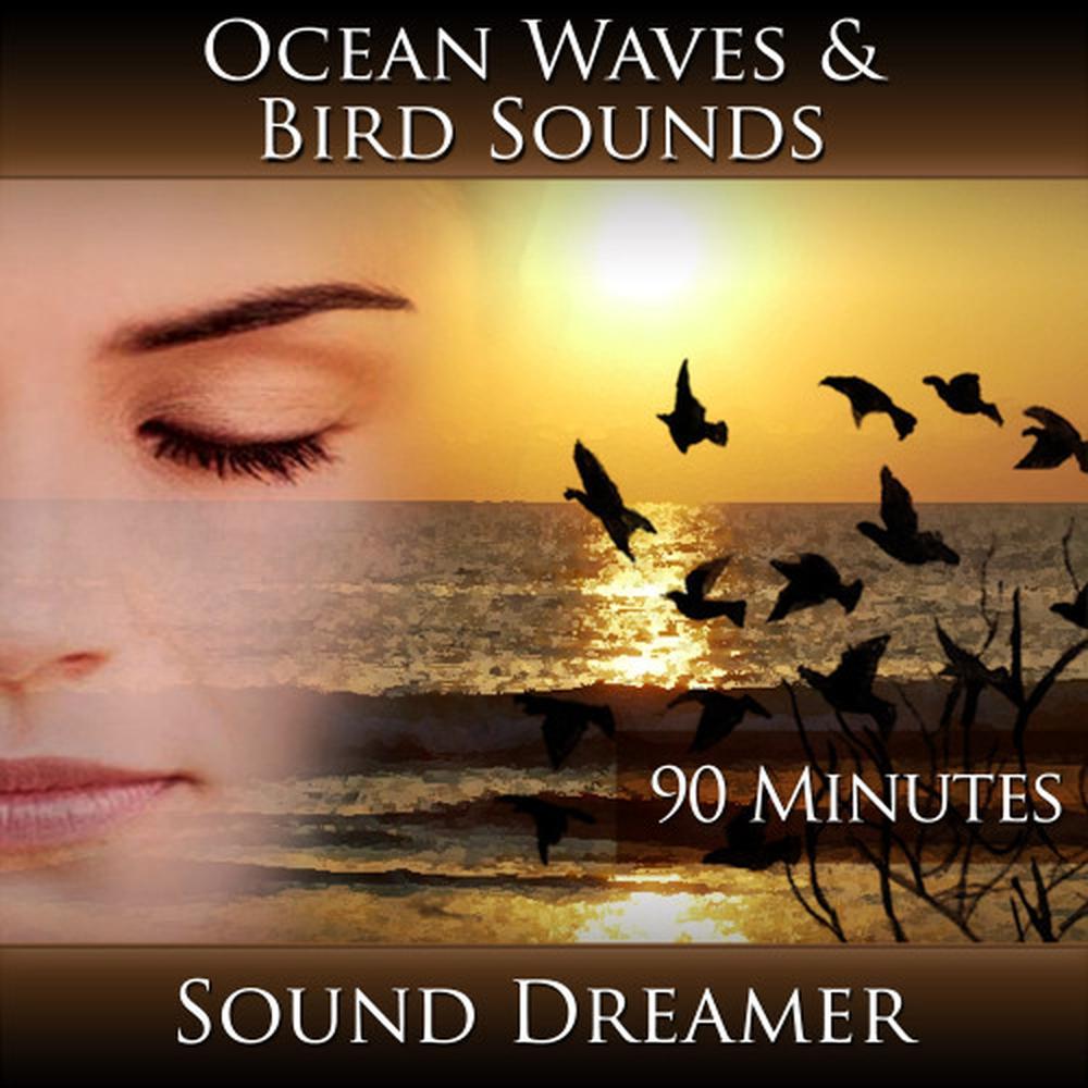 Ocean Waves and Bird Sounds - 90 Minutes