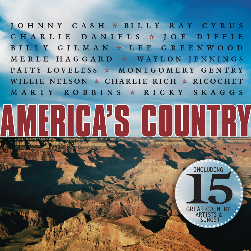 Some Gave All (Acoustic Version)