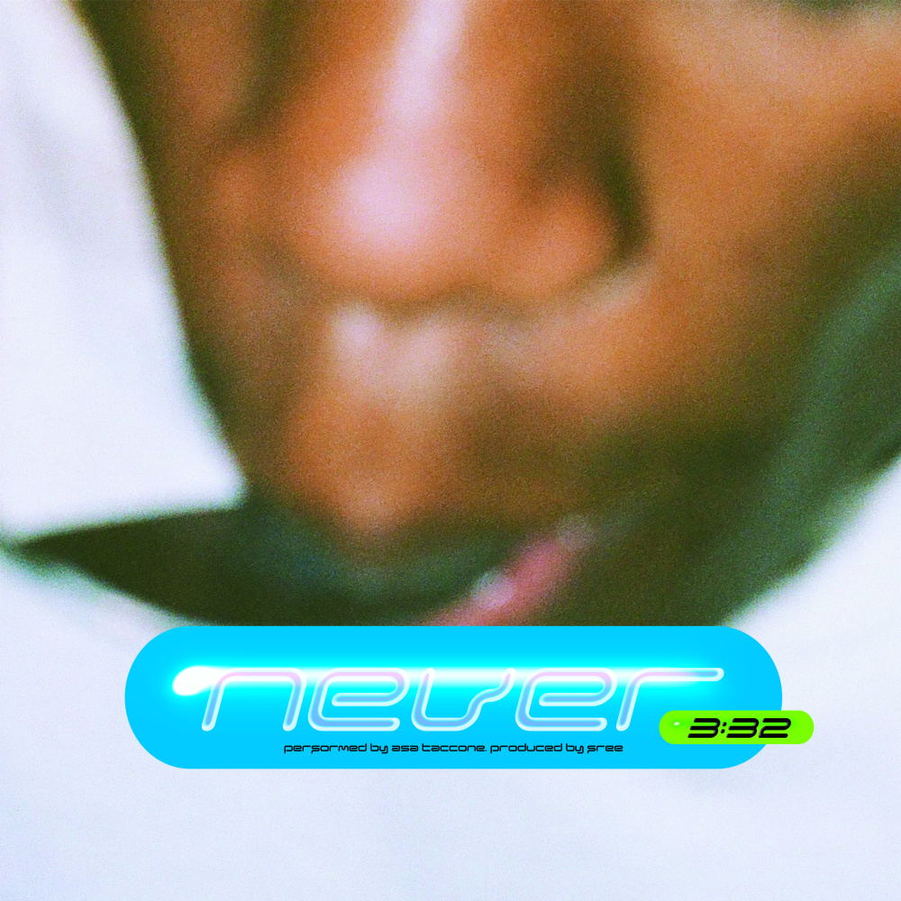 Never (feat. Asa Taccone) (Instrumental)