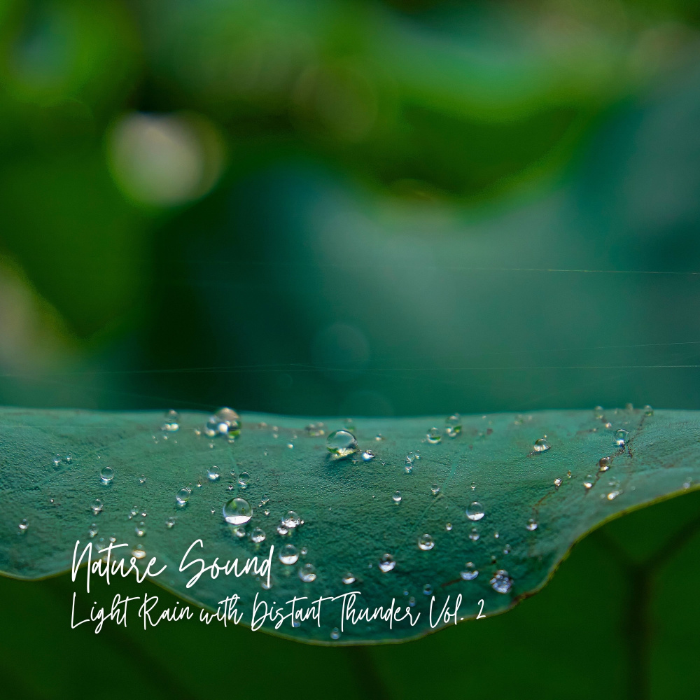 Goodbye Restlessness with Thunder Rain Sound