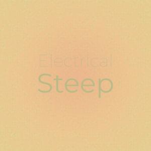 Various的专辑Electrical Steep