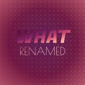 อัลบัม What Renamed ศิลปิน Various