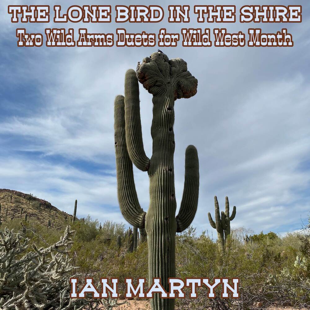 To the End of the Wilderness (Low Whistle and Guitar Duet Arrangement)