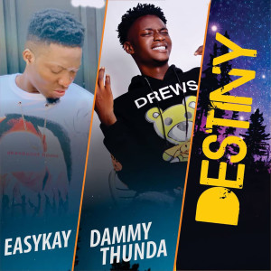 Listen to Destiny (Explicit) song with lyrics from Easykay