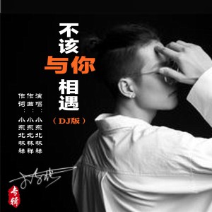 Album 不该与你相遇（DJ版） from 小东北