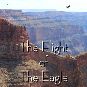Album The Flight of the Eagle from Irish