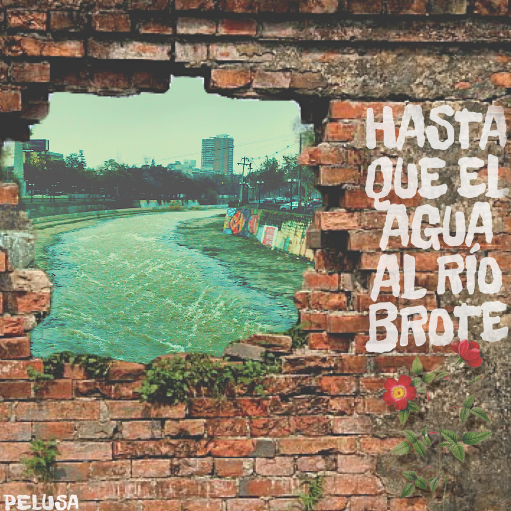 Hasta que el Agua al Río Brote