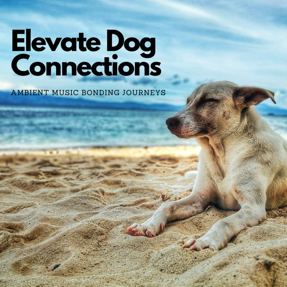 Ambient Music Wagging Tails