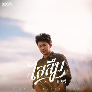 收聽เบียร์ พร้อมพงษ์的ไลลืม歌詞歌曲