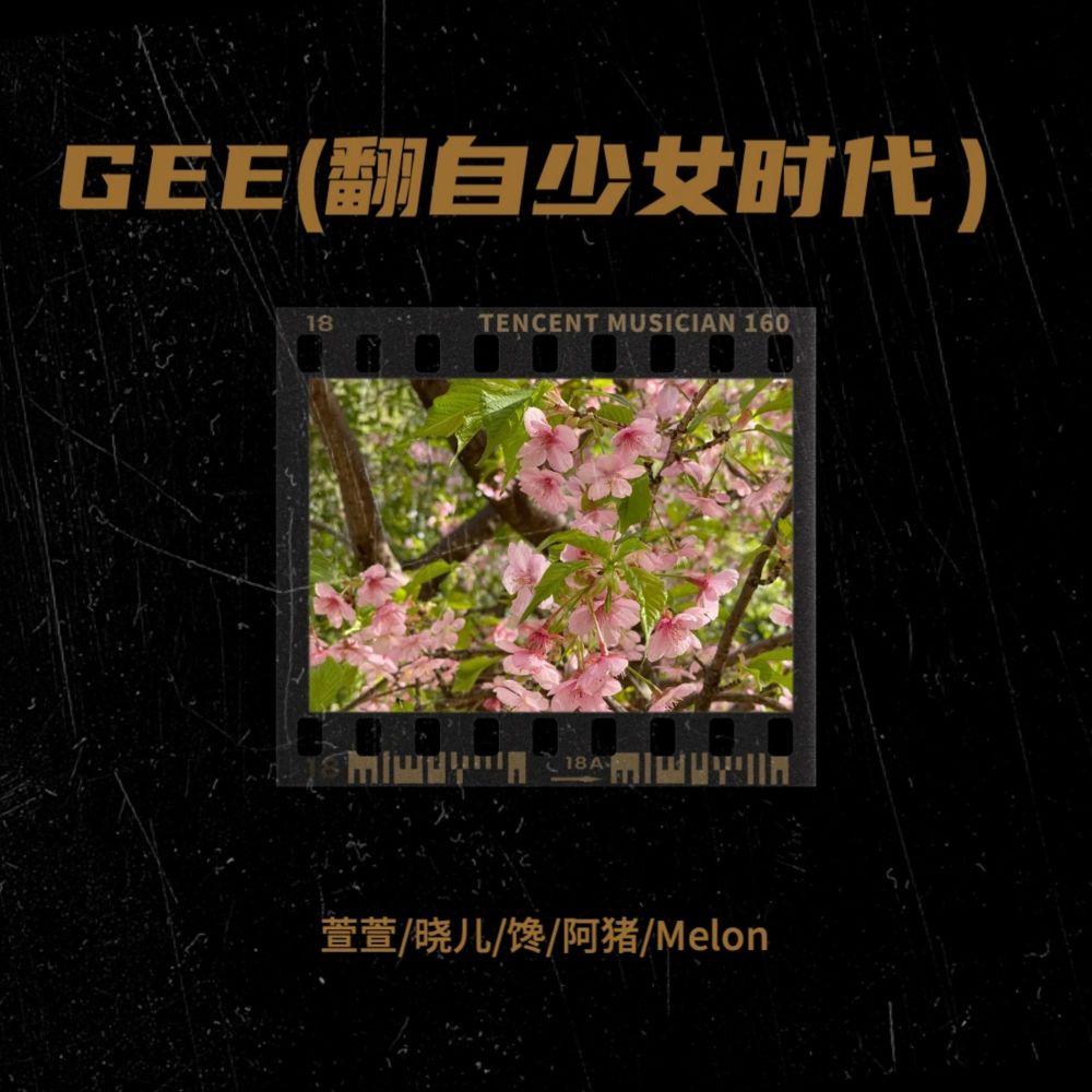 Gee (cover: 소녀시대) (其他)