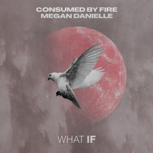 收聽Consumed by Fire的What If歌詞歌曲