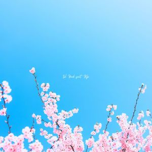 Album Everyday (feat. Kyo) from 