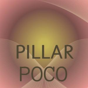 Various的专辑Pillar Poco