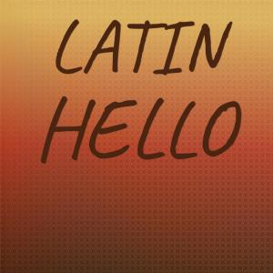 Various Artists的專輯Latin Hello