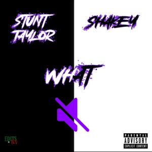 Tokyo Shakey的專輯WHAT (Explicit)