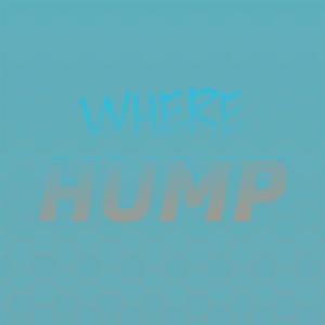 Listen to Themselves Jazz song with lyrics from Suze Sange