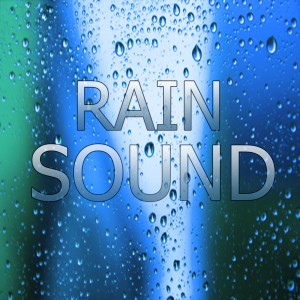 ดาวน์โหลดและฟังเพลง Rain Sound: Good Night พร้อมเนื้อเพลงจาก Rain Sounds