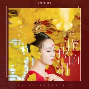 收聽林秋風的誰懂我的淚（DJ偉然版） (完整版)歌詞歌曲
