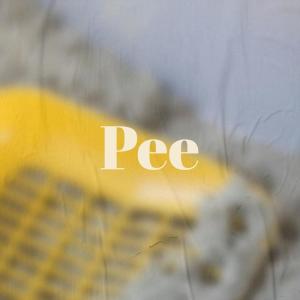 ดาวน์โหลดและฟังเพลง Wherein Ourself พร้อมเนื้อเพลงจาก Paida Shino