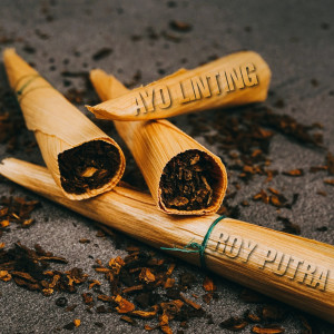 Listen to Ayo Linting song with lyrics from Roy Putra