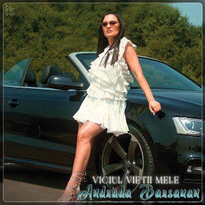 Album Viciul Vietii Mele from 