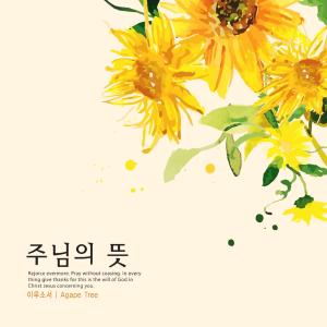 Listen to The will of the Lord song with lyrics from Ilusoseo