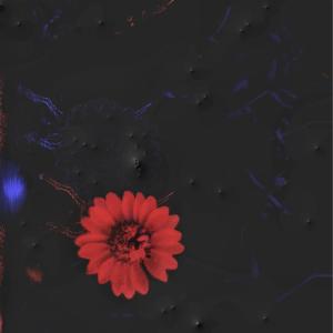 Deeprest的專輯scarlettblossom (Explicit)