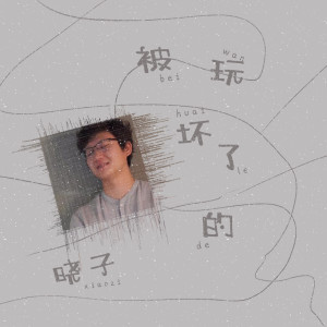 Album 被玩坏了的 from 晓子