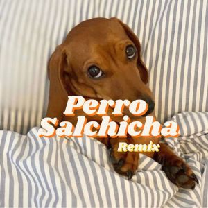 Bella DJ的專輯Perro Salchicha (Remix)