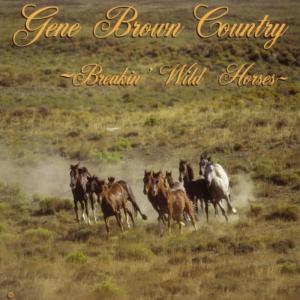 ดาวน์โหลดและฟังเพลง FUNK ROCK AND ROLL พร้อมเนื้อเพลงจาก Gene Brown Country