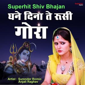ดาวน์โหลดและฟังเพลง Ghane Dina Te Russi Gora พร้อมเนื้อเพลงจาก Surender Romio