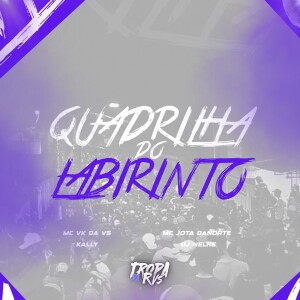 Album QUADRILHA DO LABIRINTO (Explicit) from RVS Prod