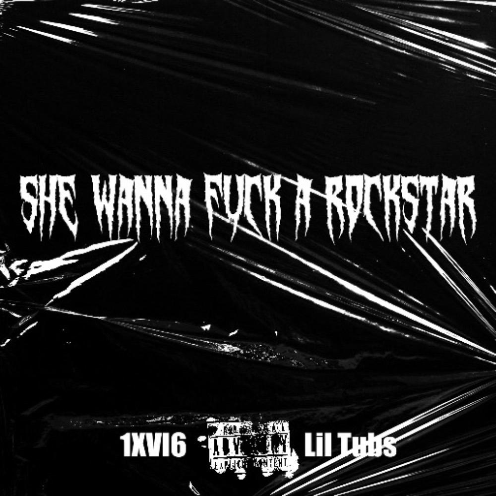 She Wanna **** A Rockstar (feat. Lil Tubs) (Explicit)