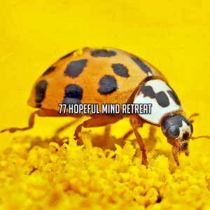 Sound Library XL的专辑77 Hopeful Mind Retreat