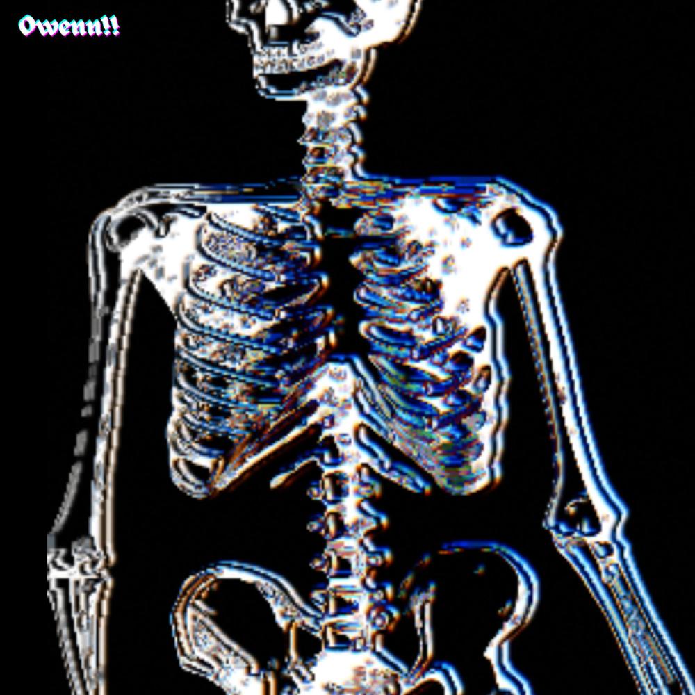 Chest (Explicit)