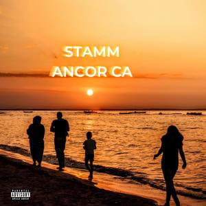 อัลบัม STAMM ANCOR CA (Remix) ศิลปิน Cherokee
