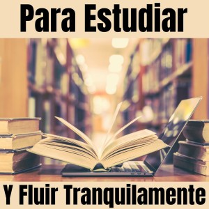 Album Para Estudiar Y Fluir Tranquilamente from 