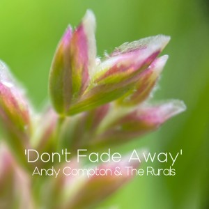 อัลบัม Don't Fade Away ศิลปิน Andy Compton