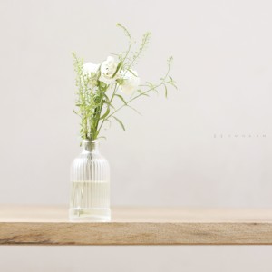 혜진이的专辑A Song That Awaits Spring