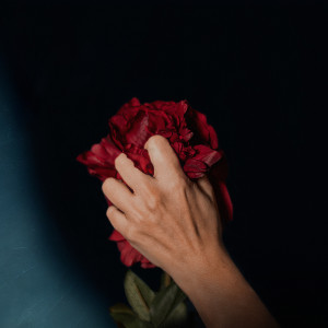 Listen to Un cri song with lyrics from Luciole