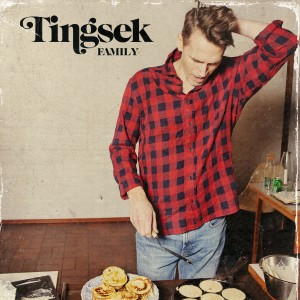 ดาวน์โหลดและฟังเพลง Family พร้อมเนื้อเพลงจาก Tingsek